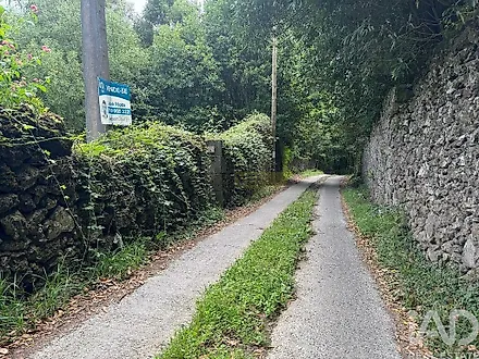 image-JjN1DeUkjSG-0