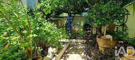 image-KDHbpUZCXDy-0