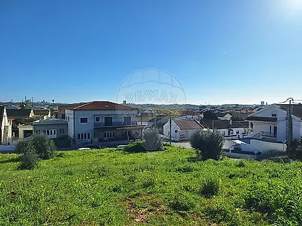 image-FtUXC09i81P-0