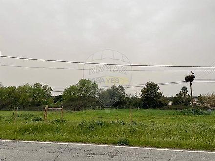 image-J8B45Ly4NT0-0