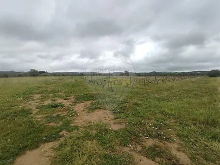 image-C3yg23FFa2e-0