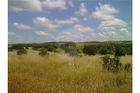 image-3dE4WLaDyIP-0