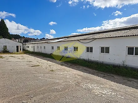image-1XOUjURTUZC-0