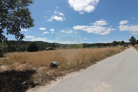 image-D8IDxW4bndV-0