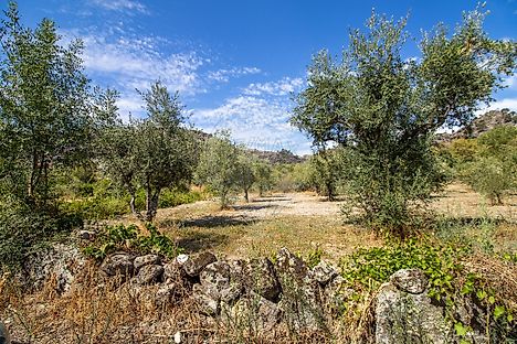 image-Ll8t8SRoIoc-0