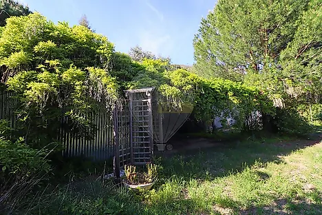 image-zSRcHPXN2i-0