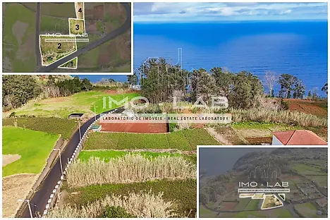 image-E3yybK287Bi-0
