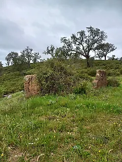 image-DiEnUDjIorA-0