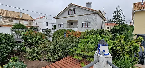 image-BelQJrXZW53-0