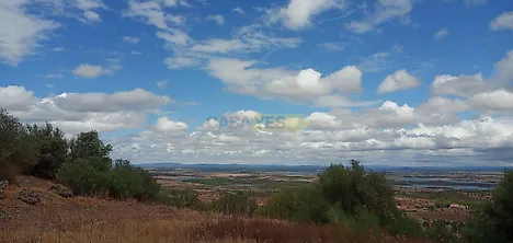 image-7vLUCTFRIlQ-0