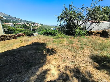 image-Glq49S2VzOJ-0