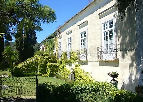 image-7Km3o661SUR-0