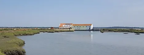 image-IWIqYkvSf6S-0