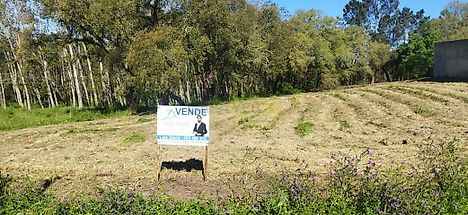 Terreno em Rio Maior