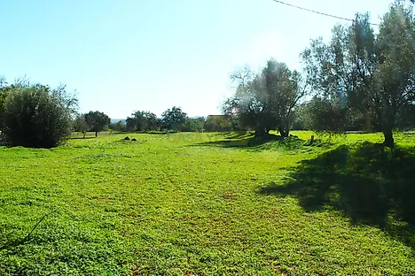 Land for sale in Silves, Portugal — €170,000