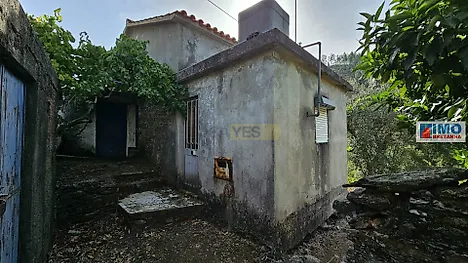image-3Vf8rguQI6j-0