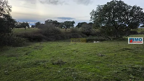 image-Croq2emDG2I-0
