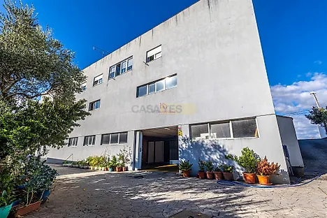 image-2OrAtJo3Ixv-0