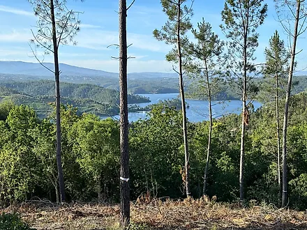 image-5n1IejDL57i-0