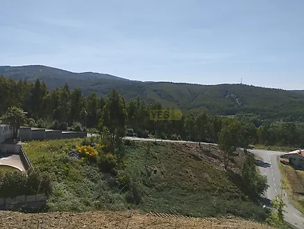 image-6R6hLxsejGU-0