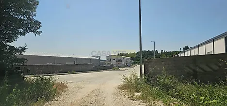 image-JO2J8aMTuyC-0