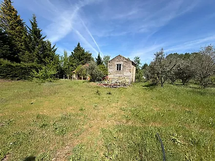 image-IoAG3T8uzKp-0