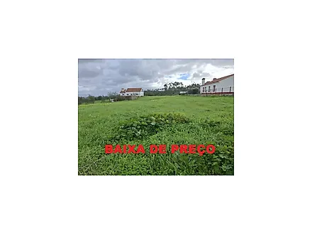 image-GXVbRcJ35Om-0