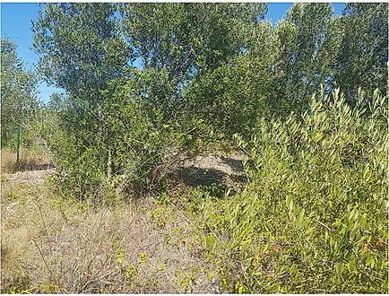 Land for sale in Cascais, Portugal — €550,000