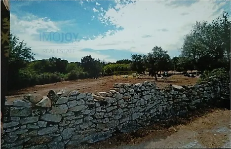 image-4DdlrCIygJj-0