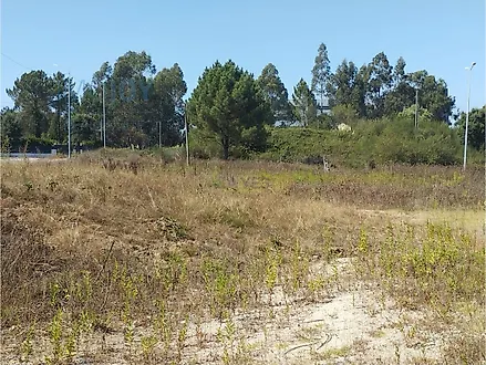 Land for sale in Valongo, Portugal — €1,500,000