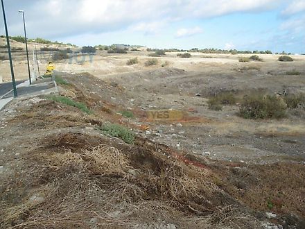Terreno em Porto Santo