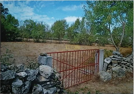 image-GneWhyOQDxE-0