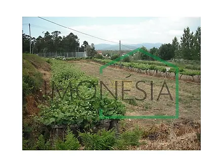 listing-20nPhxCJ0CO