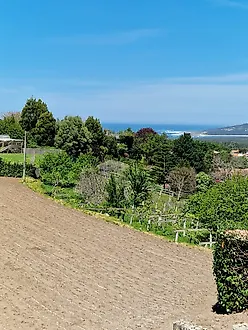 image-3jnvVRiu7km-0