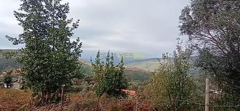image-7dfUKxdlDqE-0