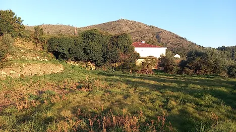 image-IZxXKuMVxOU-0