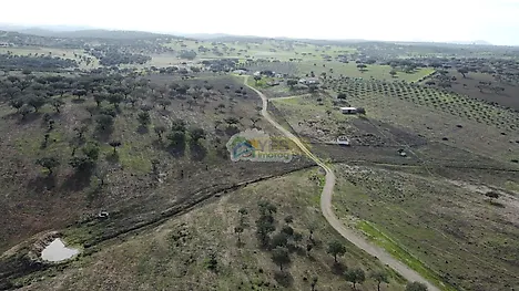 image-G6gH5bwU87E-0