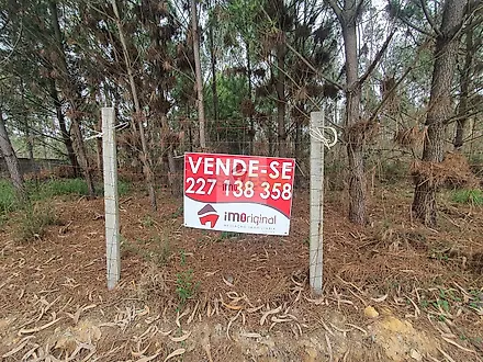 image-E0dk43V9do3-0