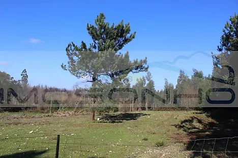 Land for sale in Marinha Grande, Portugal — €80,000