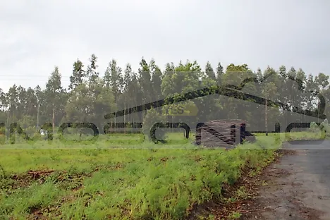 Terreno em Marinha Grande