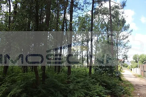 Land for sale in Marinha Grande, Portugal — €250,000