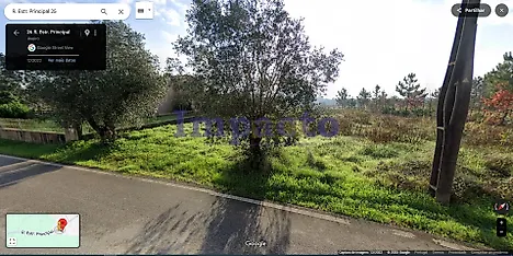 Land for sale in Anadia, Portugal — €55,000