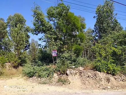 Land for sale in Oliveira de Azeméis, Portugal — €65,000