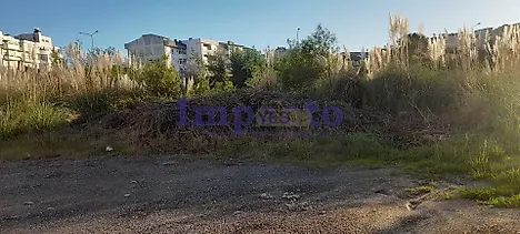 Land for sale in Oliveira de Azeméis, Portugal — €600,000