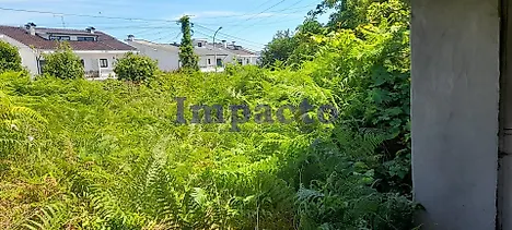 Land for sale in Oliveira de Azeméis, Portugal — €65,000