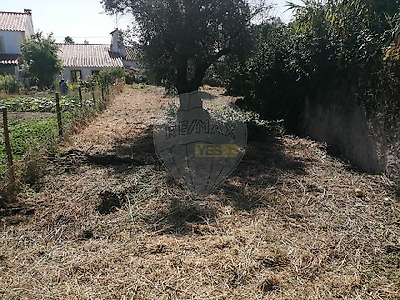 image-iN7iZxNRaq-0