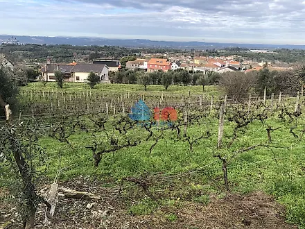 Land for sale in Mangualde, Portugal — €85,000
