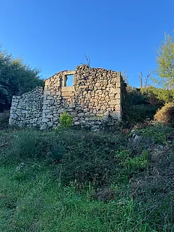 image-K77zVJyFPbI-0