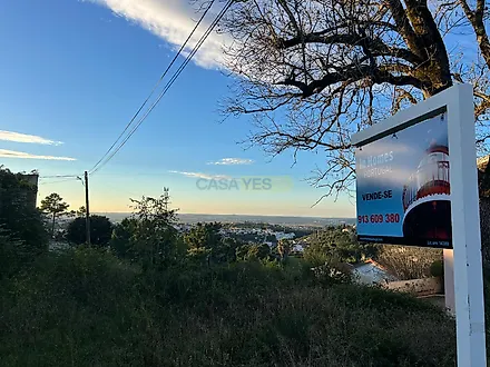 image-LsXJZ3EhjTt-0