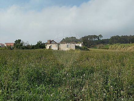 image-BSCrPGgG490-0